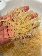 Load image into Gallery viewer, Ginger and Hibiscus Infused Sea Moss Gel