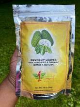 Load image into Gallery viewer, Soursop/ Guanabana Leaves
